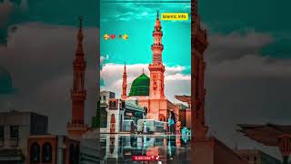 Jay Sona Mery Dukh Which Razi Mn Sukh Nu Chuly Pavan🥰😇😘Islamic infoNaat sharifshortvideo short [upl. by Diarmuid358]