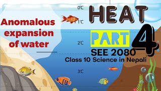 HEAT  Anomalous expansion of WATER  SEE preparation 2080  Class 10 science in Nepali [upl. by Fabrienne]