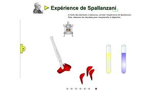 Expériences historiques de Spallanzani [upl. by Hairakcaz]