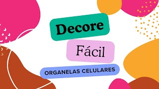 Truque para decorar fácil  organelas celulares [upl. by Llenna]