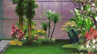 20 desain taman dalam rumah minimalis 2017 paling keren [upl. by Jolee]