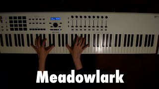 Meadowlark The Bakers Wife  Piano Accompaniment [upl. by Akital]