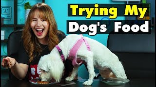 Dog Owners Try Their Dogs Food For The First Time  People Vs Food [upl. by Wind]