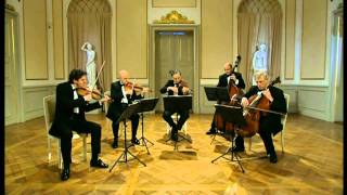 Mozart Eine kleine Nachtmusik  Serenade in Gmajor K525 2nd Movement II Romance Andante [upl. by Gavini155]