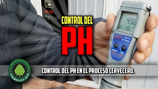 Cómo hacer Cerveza Artesana en Casa CONTROL DE PH [upl. by Odrarebe]