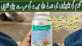 Buctril Super  Mistake in spraying weedicide  Bromoxynil Butanoate  Pesticide in Pakistan [upl. by Lewison]