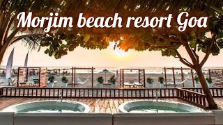 Sinq beach resort Morjim North Goa best beach [upl. by Sirahc]