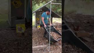 Leaf Bedding garden chicken diy [upl. by Drofwarc]