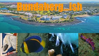 Bundaberg  diving Burkitts Reef and Barolin Rocks [upl. by Gladdie790]