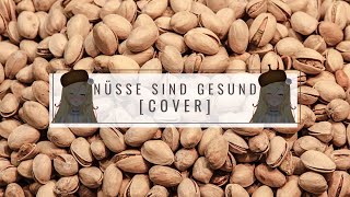 NoooN amp Kati Breuer  ›Nüsse Sind Gesund‹ 『Cover』 [upl. by Becky973]