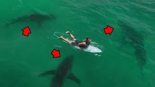 Eaten Alive By Pack of Sharks MARATHON [upl. by Oria884]