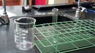 Cell Membrane Permeability Lab [upl. by Evslin962]