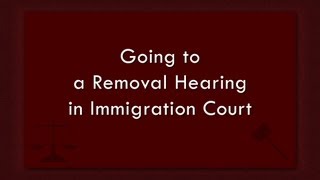 Going to a Removal Hearing in Immigration Court [upl. by Sitelc]