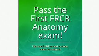 Radiology Cafe mock anatomy exam tutorial [upl. by Ennovehs]