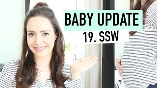 BABY UPDATE👶🏻🍼 I 19 SSW I 1 Mal Baby gespürt😍 I Beschwerden Bauch Baby Gewicht [upl. by Bilow]