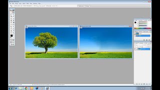 Adobe Photoshop 2025 Tips  Remove People amp tree in 15 Seconds with Photoshop photo phototips [upl. by Ived227]