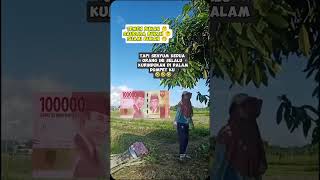 GK bisa tanpa dia shortvideo fypシ゚viral lucu [upl. by Shlomo811]