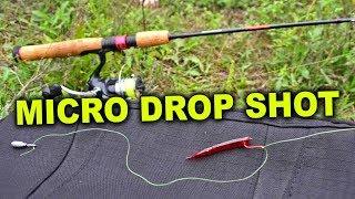 Ultralight Fishing with a MICRO Drop Shot [upl. by Rochell778]