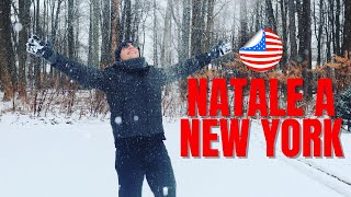 Vacanze di NATALE a NEW YORK ⛄ [upl. by Meldon]