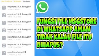 Fungsi Msgstore Di Whatsapp Aman Tidak Kalau Msgstoredbcrypt12 Dihapus [upl. by Meer]