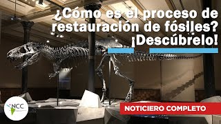 ¿Cómo es el proceso de restauración de fósiles ¡Descúbrelo  672  15 al 21 de julio de 2024 [upl. by March]