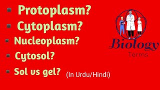 Cytoplasm vs cytosol Protoplasm Nucleoplasm  sol vs Gel  cytosol vs cytogel [upl. by Remark]