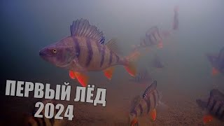 ПЕРВЫЙ ЛЕД  наловил рыбы НЕ УВЕЗТИ Поклевки КРУПНЯКА на подводную камеру [upl. by Aneeh]