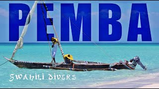 Pemba Zanzibar  Swahili divers [upl. by Aratehs282]