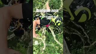 Rejoigneznous  élagage climbing arboriste petzl rope treework protos hévéa élagueur [upl. by Blatt]