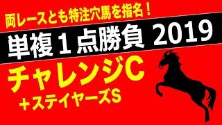 【 チャレンジC ステイヤーズS 2019】最終予想！単複１点勝負 両レースとも特注穴馬を指名！ [upl. by Ybab]