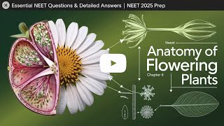 Anatomy of Flowering Plants NEET Biology Question and Answer [upl. by Briny]