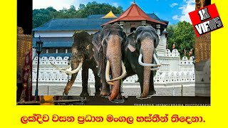 ශ්‍රී ලංකාදීපයේ වසන ප්‍රධාන මංගල හස්තිරාජයා තිදෙනා Episode 01  SL Gaweshakayo With Asiri [upl. by Nnairol613]