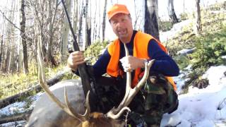 6x5 bull elk killed by my brother October  2011 [upl. by Essirehs619]