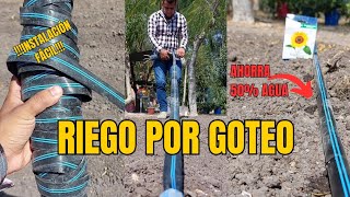 Instalación de cintilla de riego por goteo💧🌻🌽 [upl. by Treat]