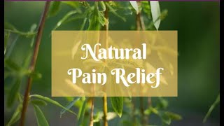 Natural Pain Relief with Herbal Pain Killers [upl. by Annaigroeg381]