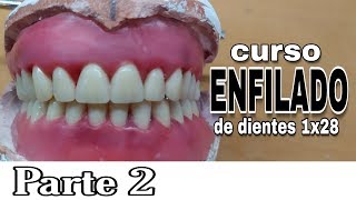 PRÓTESIS TOTAL ENFILADO o ARTICULADO DE DIENTES INFERIORES  Parte 2 [upl. by Allemaj]