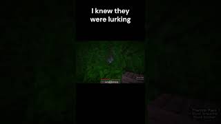 Phantoms minecraft minecrafmemes minecrafthumor minecrfatmemes [upl. by Notsirk]