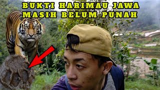 MENEMUKAN JEJAK HARIMAU JAWA DAN POHON POHJABB [upl. by Tenn]