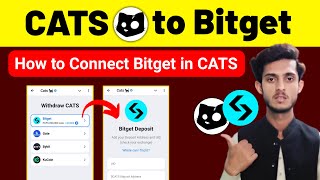 How to Connect Bitget Wallet in CATS  CATS Airdrop Wallet Connect  Cats Withdrawal Bitget [upl. by Halimaj170]