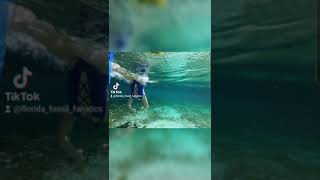 Homosassa Springs Snorkeling [upl. by Zobe]