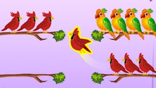 Bird color sort  Match puzzle Game All Mobile Video Gameplay Game [upl. by Neeruam]