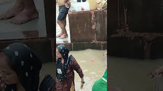 Jai Ganga Maiya 🌺🚩🙏🌺shortvideo viralsong bhojpuri gangamaiyaganga tanujavlogs [upl. by Kcirre515]