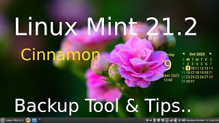 Linux Mint 212  Cinnamon also EDGE  The Backup Tool amp Tips [upl. by Martinelli]