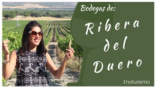 Ribera del Duero  Visita de Enoturismo Abadía Retuerta  Protos  Tinto Pesquera [upl. by Suoivart]