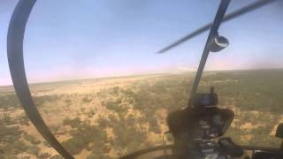 AUSTRALIA  R22 Helicopter View of Cattle Station [upl. by Eisseb]