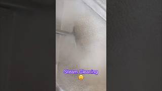 Steam Cleaning Dirty Stairs😲steamcleaning youtubeshorts dirtycarpets [upl. by Anovahs617]