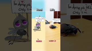 POV SAVING MOSQUITO video parody of drawforfunyt robloxedit roblox memes funny [upl. by Everson]