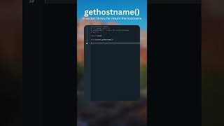 python socket  gethostname [upl. by Anytsirhc]