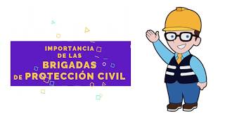 La importancia de las brigadas de protección civil [upl. by Louisette]