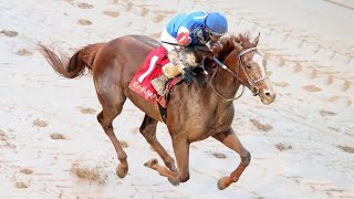 The Smarty Jones Stakes  2022  Dash Attack [upl. by Sileas429]